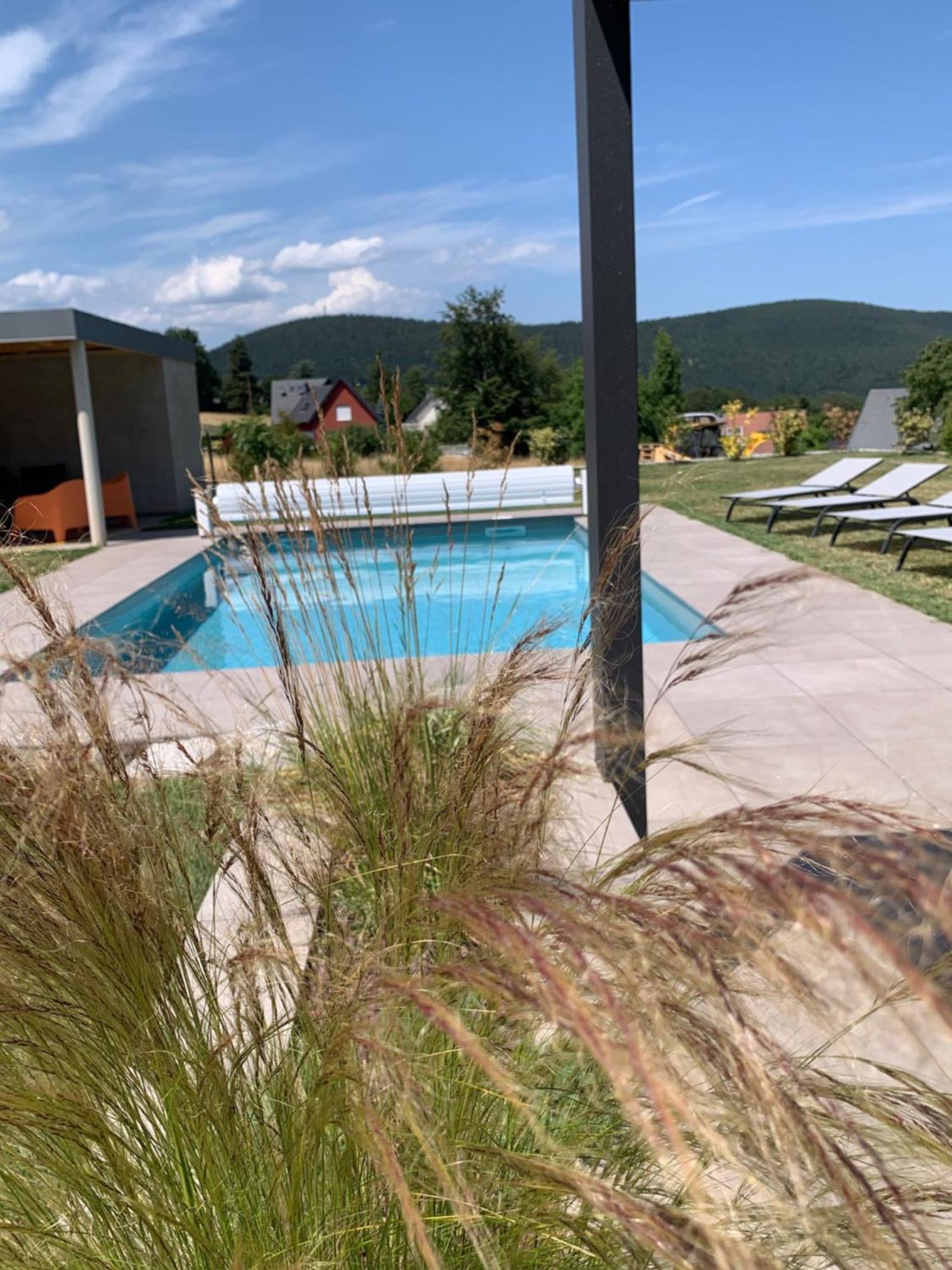 Gite "Villa Belle Vie" Labaroche Extérieur photo